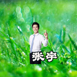 张宇
